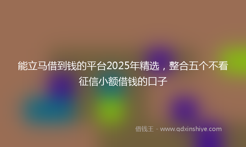 能立马借到钱的平台2025年精选，整合五个不看征信小额借钱的口子