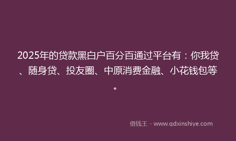 2025年的贷款黑白户百分百通过平台有：你我贷、随身贷、投友圈、中原消费金融、小花钱包等。