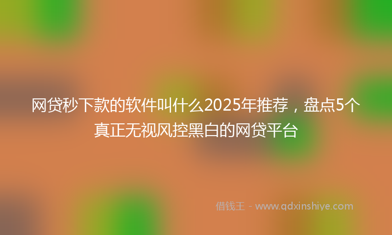 网贷秒下款的软件叫什么2025年推荐，盘点5个真正无视风控黑白的网贷平台