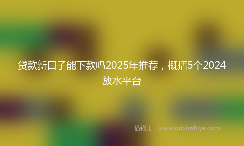 贷款新口子能下款吗2025年推荐，概括5个2024放水平台