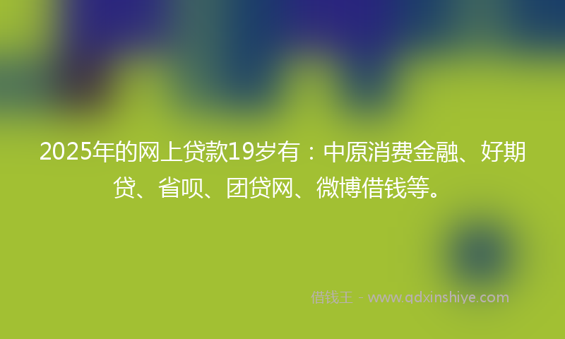 2025年的网上贷款19岁有：中原消费金融、好期贷、省呗、团贷网、微博借钱等。