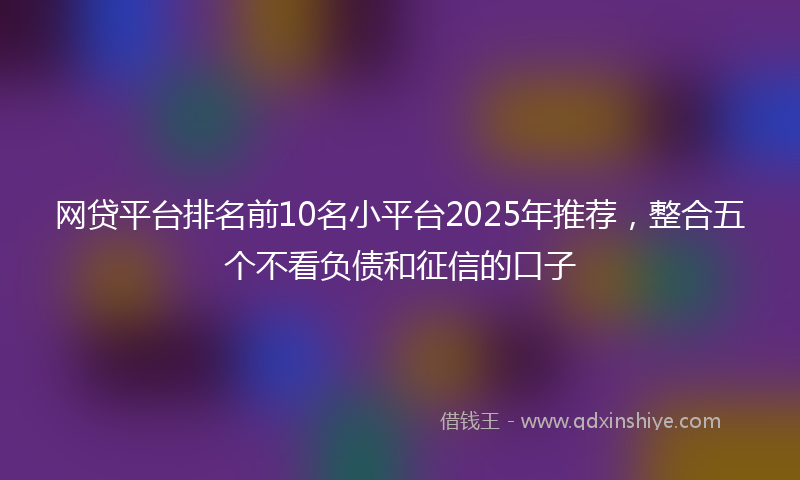 网贷平台排名前10名小平台2025年推荐，整合五个不看负债和征信的口子