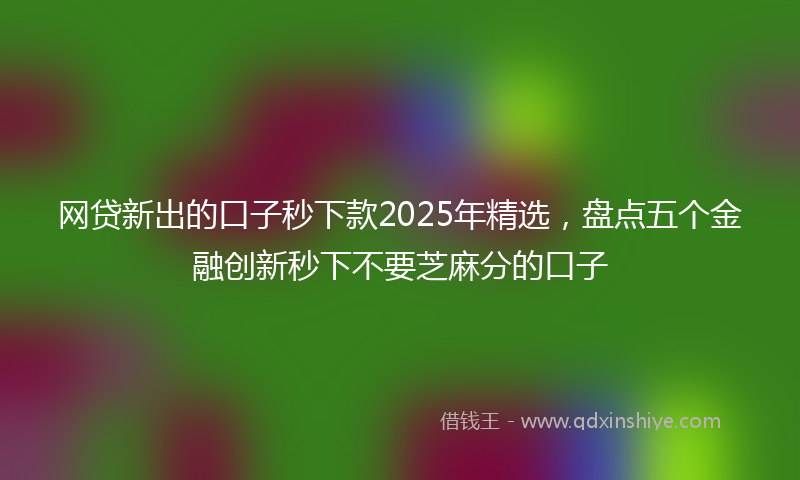 网贷新出的口子秒下款2025年精选，盘点五个金融创新秒下不要芝麻分的口子
