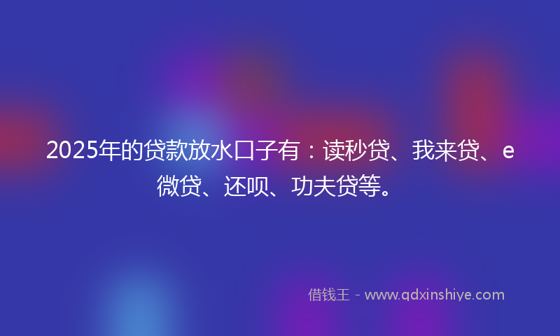 2025年的贷款放水口子有：读秒贷、我来贷、e微贷、还呗、功夫贷等。