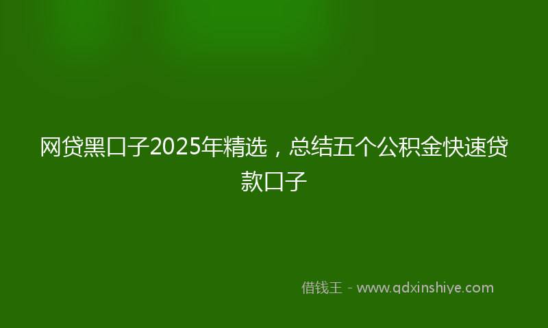 网贷黑口子2025年精选，总结五个公积金快速贷款口子