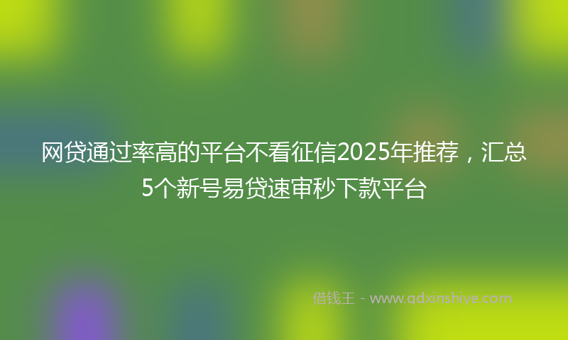 网贷通过率高的平台不看征信2025年推荐，汇总5个新号易贷速审秒下款平台