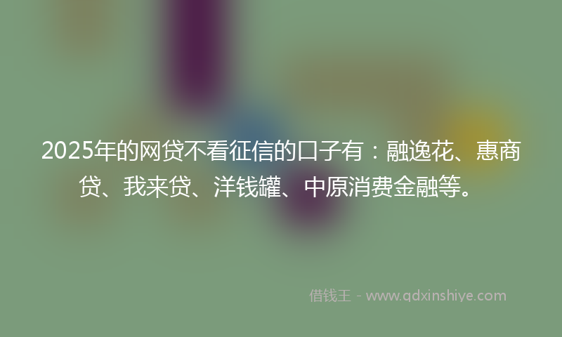 2025年的网贷不看征信的口子有：融逸花、惠商贷、我来贷、洋钱罐、中原消费金融等。