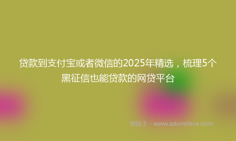 贷款到支付宝或者微信的2025年精选，梳理5个黑征信也能贷款的网贷平台