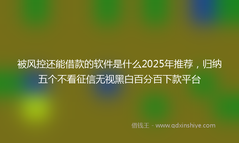 被风控还能借款的软件是什么2025年推荐，归纳五个不看征信无视黑白百分百下款平台
