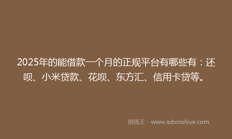 2025年的能借款一个月的正规平台有哪些有：还呗、小米贷款、花呗、东方汇、信用卡贷等。