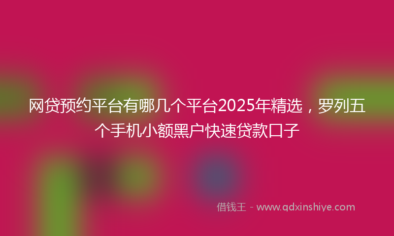 网贷预约平台有哪几个平台2025年精选，罗列五个手机小额黑户快速贷款口子