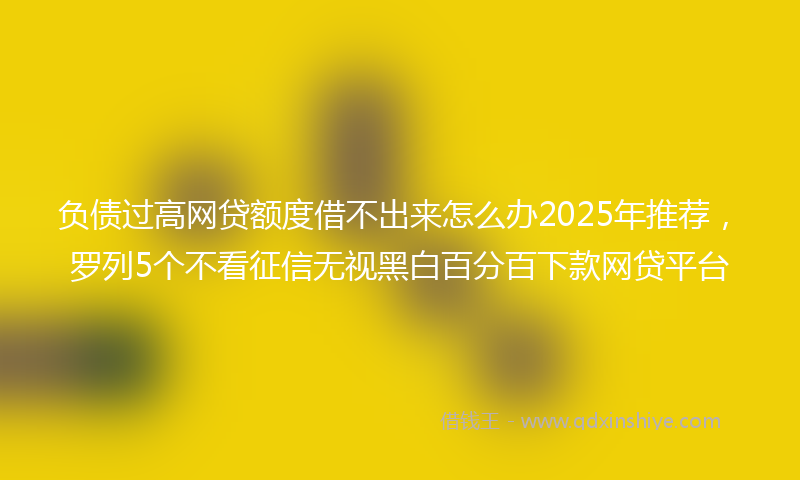 负债过高网贷额度借不出来怎么办2025年推荐，罗列5个不看征信无视黑白百分百下款网贷平台