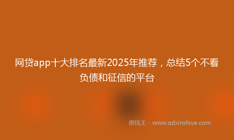 网贷app十大排名最新2025年推荐，总结5个不看负债和征信的平台