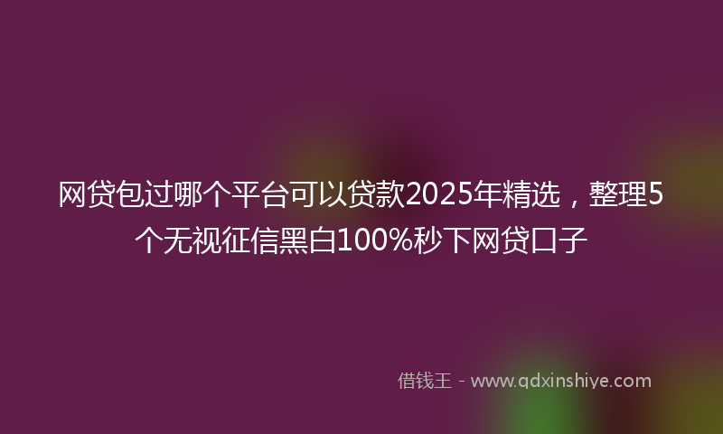 网贷包过哪个平台可以贷款2025年精选，整理5个无视征信黑白100%秒下网贷口子