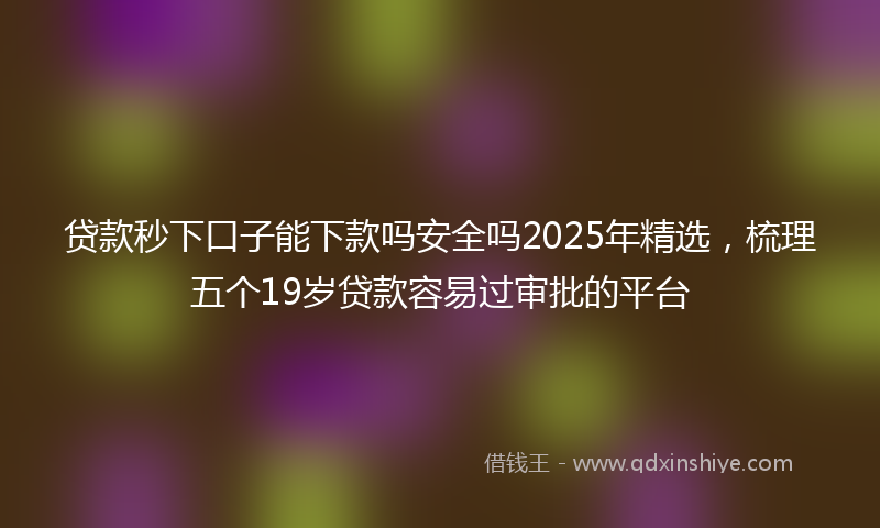贷款秒下口子能下款吗安全吗2025年精选，梳理五个19岁贷款容易过审批的平台