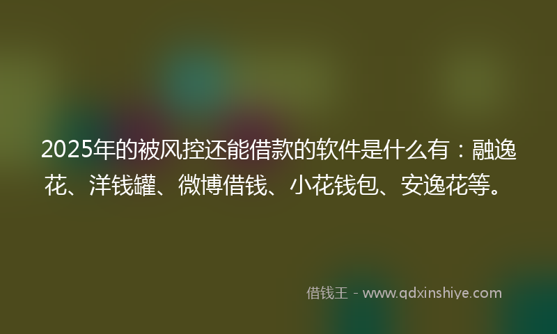 2025年的被风控还能借款的软件是什么有：融逸花、洋钱罐、微博借钱、小花钱包、安逸花等。