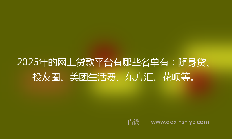 2025年的网上贷款平台有哪些名单有：随身贷、投友圈、美团生活费、东方汇、花呗等。