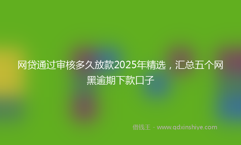 网贷通过审核多久放款2025年精选，汇总五个网黑逾期下款口子