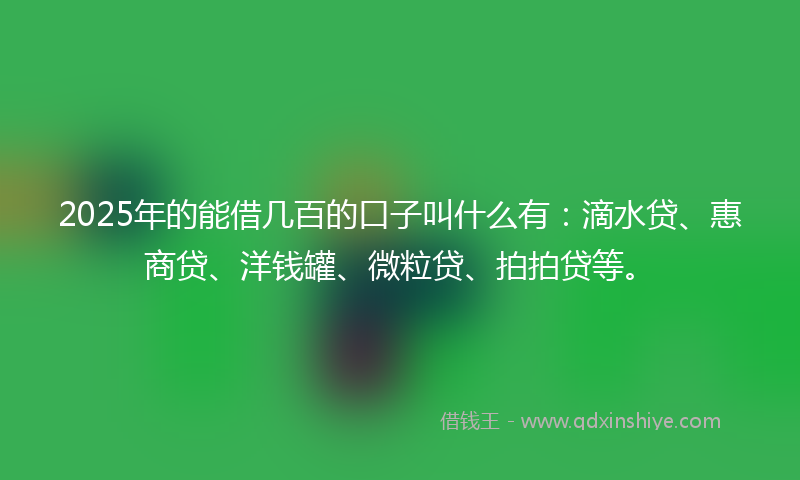 2025年的能借几百的口子叫什么有：滴水贷、惠商贷、洋钱罐、微粒贷、拍拍贷等。