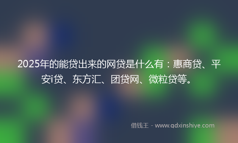 2025年的能贷出来的网贷是什么有：惠商贷、平安i贷、东方汇、团贷网、微粒贷等。