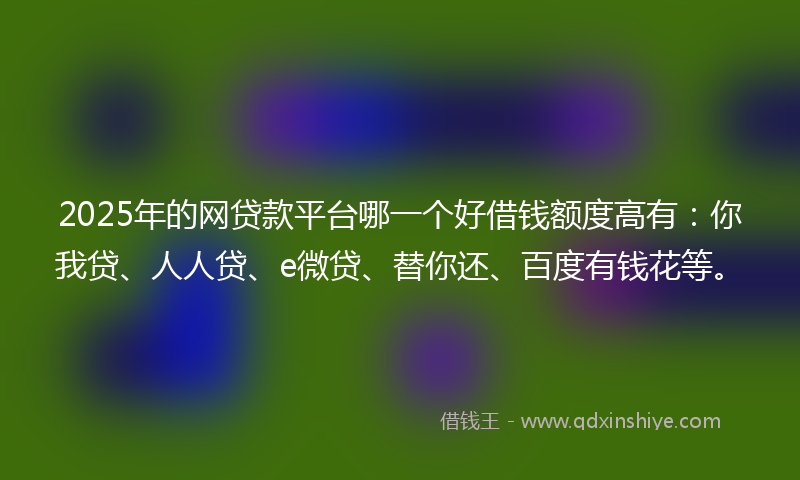 2025年的网贷款平台哪一个好借钱额度高有：你我贷、人人贷、e微贷、替你还、百度有钱花等。