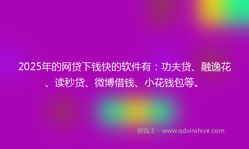 2025年的网贷下钱快的软件有：功夫贷、融逸花、读秒贷、微博借钱、小花钱包等。