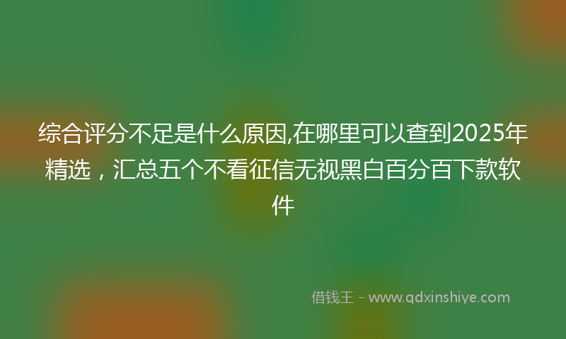 综合评分不足是什么原因,在哪里可以查到2025年精选，汇总五个不看征信无视黑白百分百下款软件