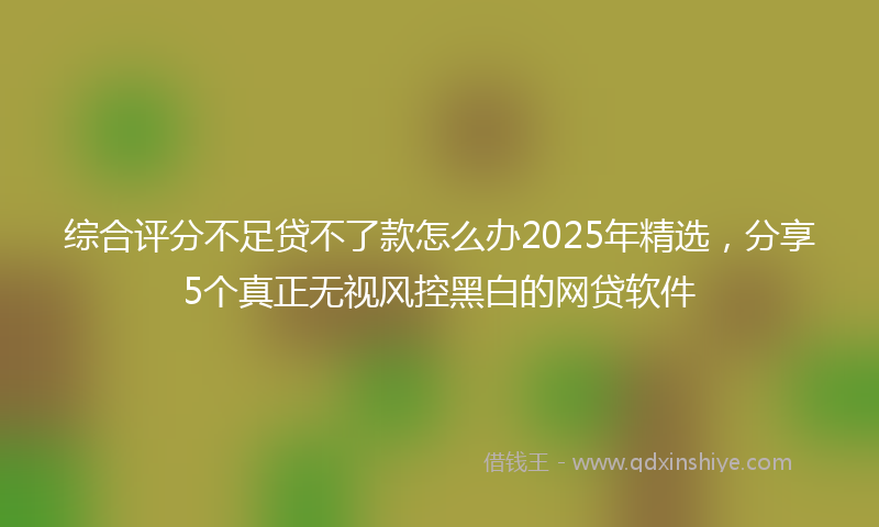 综合评分不足贷不了款怎么办2025年精选，分享5个真正无视风控黑白的网贷软件
