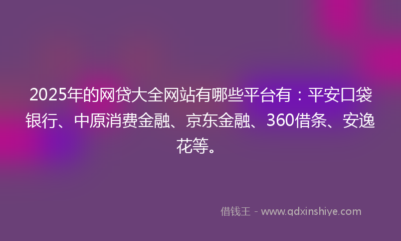 2025年的网贷大全网站有哪些平台有：平安口袋银行、中原消费金融、京东金融、360借条、安逸花等。