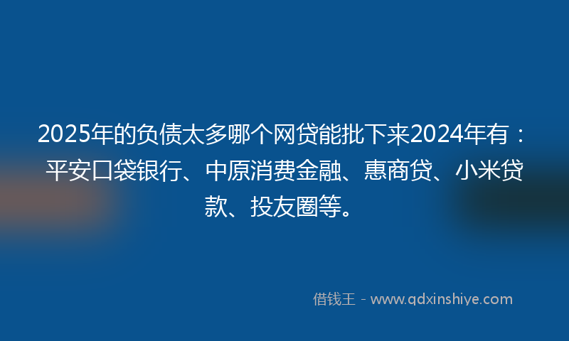 2025年的负债太多哪个网贷能批下来2024年有：平安口袋银行、中原消费金融、惠商贷、小米贷款、投友圈等。