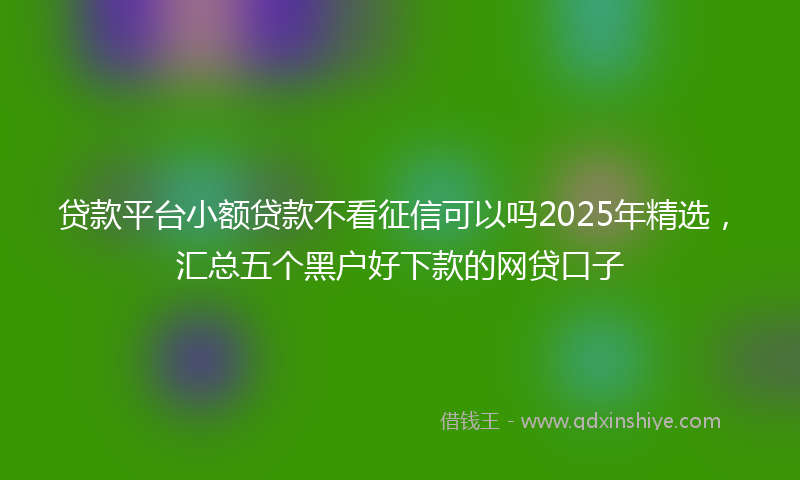贷款平台小额贷款不看征信可以吗2025年精选，汇总五个黑户好下款的网贷口子
