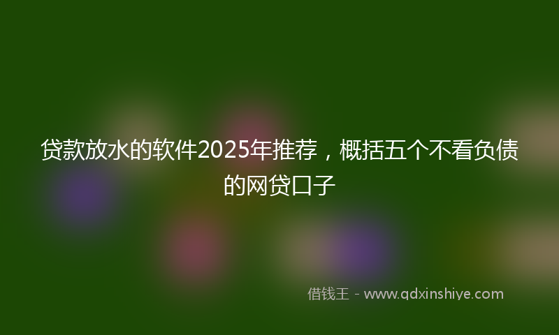 贷款放水的软件2025年推荐，概括五个不看负债的网贷口子