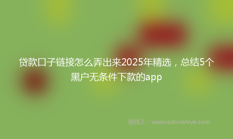 贷款口子链接怎么弄出来2025年精选，总结5个黑户无条件下款的app