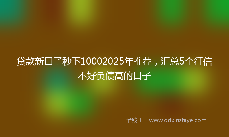 贷款新口子秒下10002025年推荐，汇总5个征信不好负债高的口子