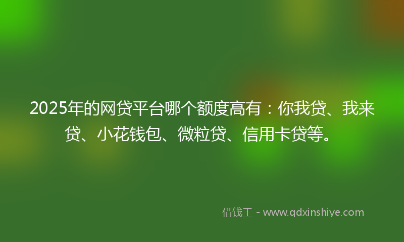 2025年的网贷平台哪个额度高有：你我贷、我来贷、小花钱包、微粒贷、信用卡贷等。