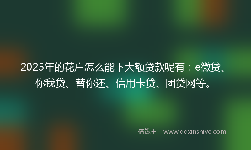 2025年的花户怎么能下大额贷款呢有：e微贷、你我贷、替你还、信用卡贷、团贷网等。