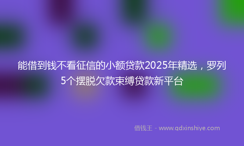 能借到钱不看征信的小额贷款2025年精选，罗列5个摆脱欠款束缚贷款新平台