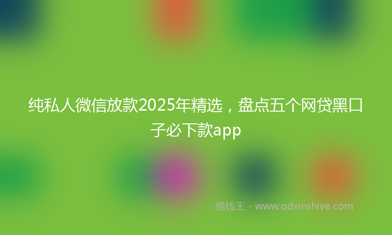 纯私人微信放款2025年精选，盘点五个网贷黑口子必下款app
