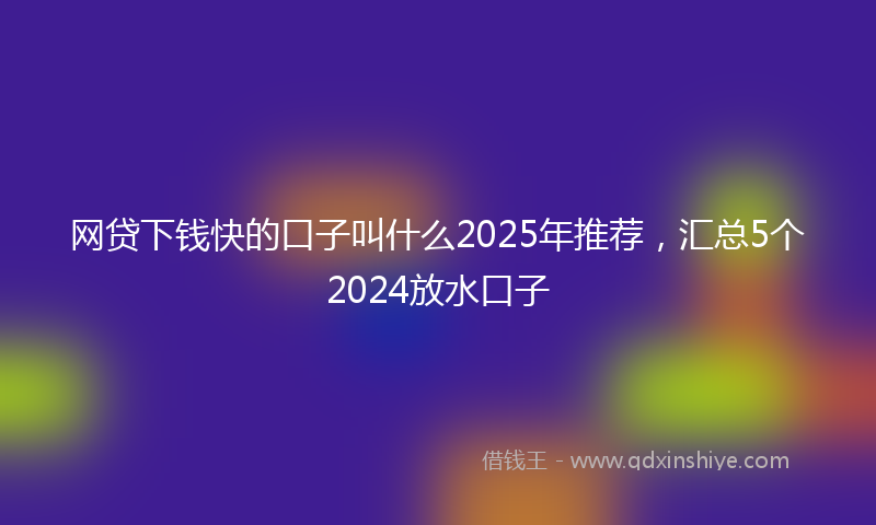 网贷下钱快的口子叫什么2025年推荐，汇总5个2024放水口子