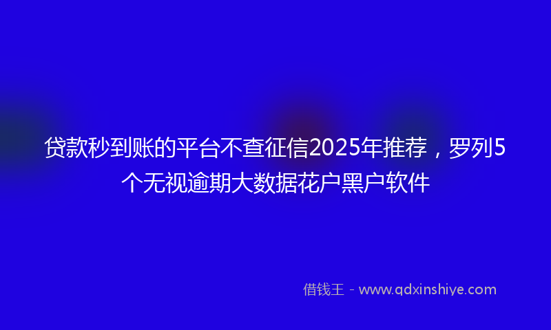 贷款秒到账的平台不查征信2025年推荐，罗列5个无视逾期大数据花户黑户软件