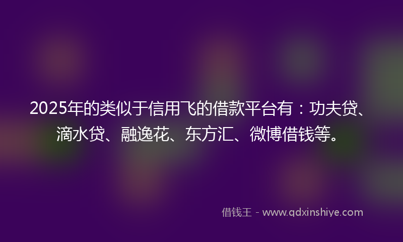 2025年的类似于信用飞的借款平台有：功夫贷、滴水贷、融逸花、东方汇、微博借钱等。