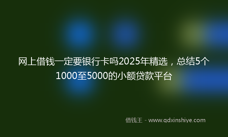 网上借钱一定要银行卡吗2025年精选，总结5个1000至5000的小额贷款平台