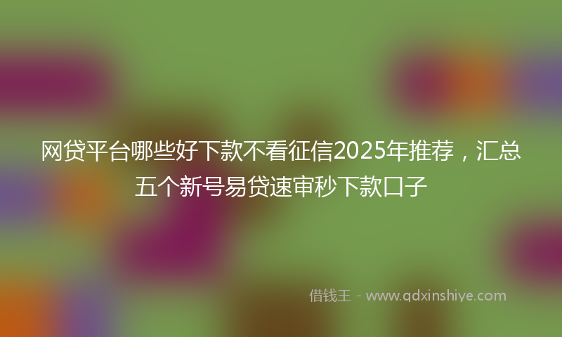 网贷平台哪些好下款不看征信2025年推荐，汇总五个新号易贷速审秒下款口子