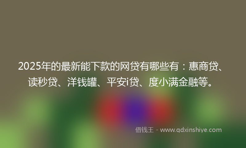 2025年的最新能下款的网贷有哪些有：惠商贷、读秒贷、洋钱罐、平安i贷、度小满金融等。