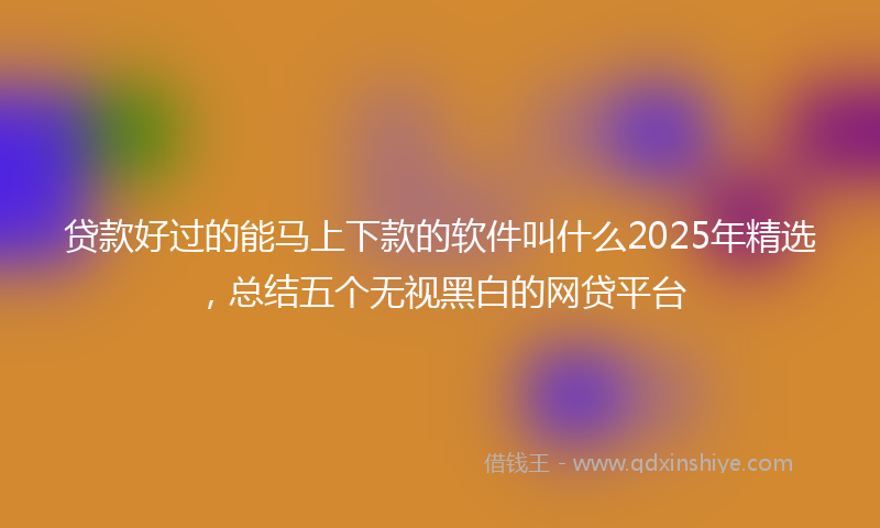 贷款好过的能马上下款的软件叫什么2025年精选，总结五个无视黑白的网贷平台