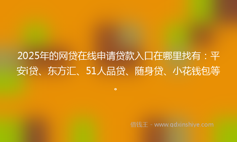 2025年的网贷在线申请贷款入口在哪里找有：平安i贷、东方汇、51人品贷、随身贷、小花钱包等。