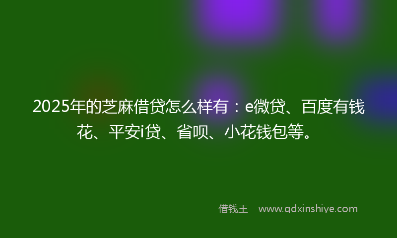 2025年的芝麻借贷怎么样有：e微贷、百度有钱花、平安i贷、省呗、小花钱包等。