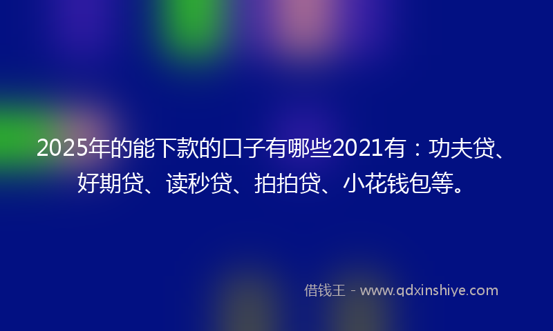 2025年的能下款的口子有哪些2021有：功夫贷、好期贷、读秒贷、拍拍贷、小花钱包等。