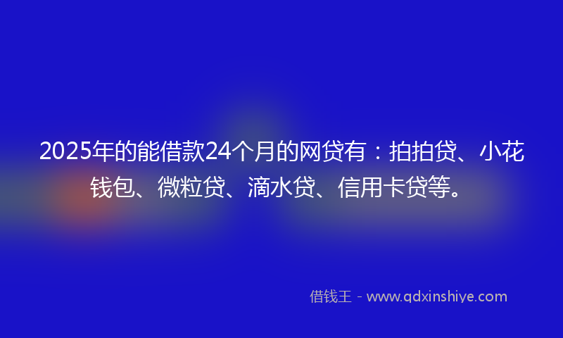 2025年的能借款24个月的网贷有：拍拍贷、小花钱包、微粒贷、滴水贷、信用卡贷等。