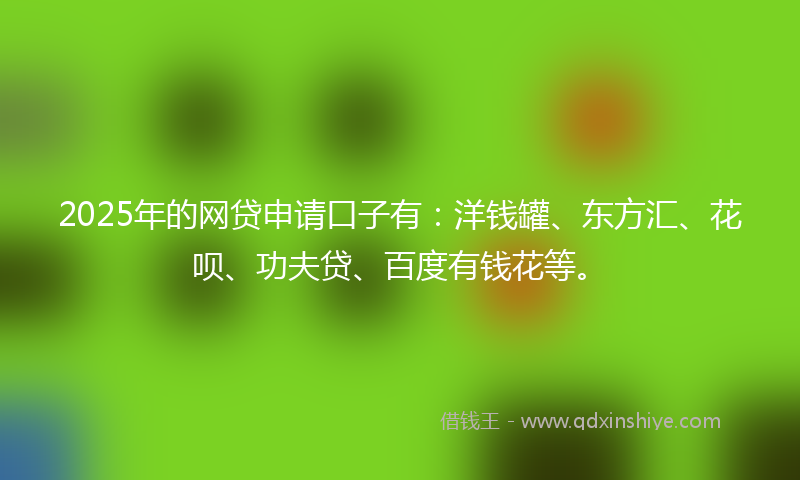 2025年的网贷申请口子有：洋钱罐、东方汇、花呗、功夫贷、百度有钱花等。